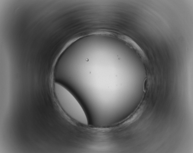X0000093110860200709260944