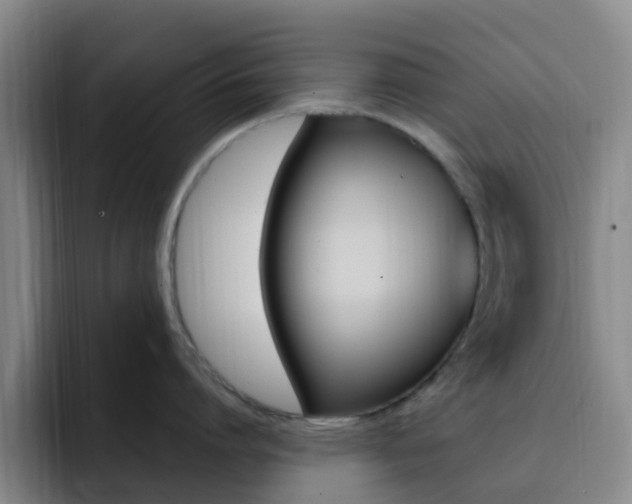 X0000093110864200709260944