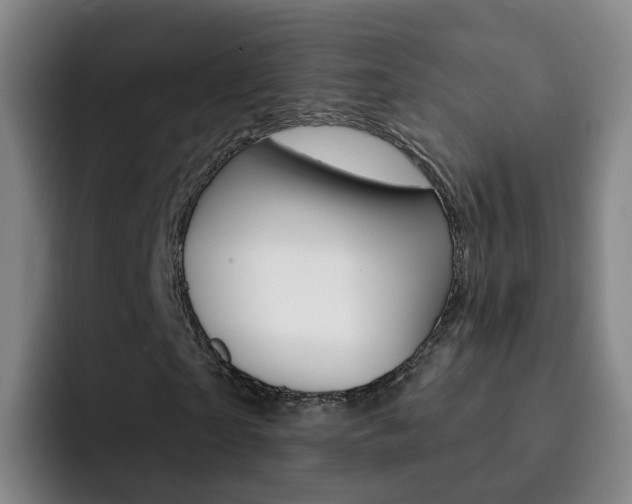 X0000093110865200709260944
