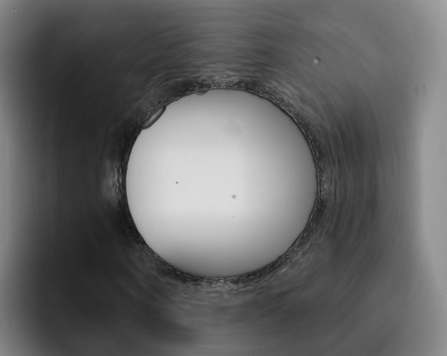 X0000093110866200709260944