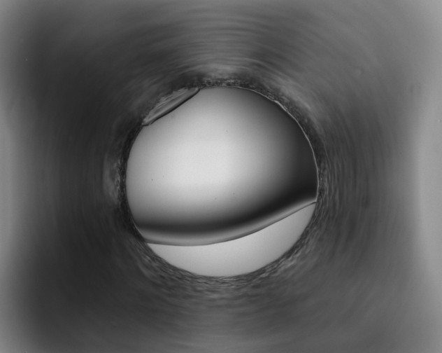 X0000093110868200709260944