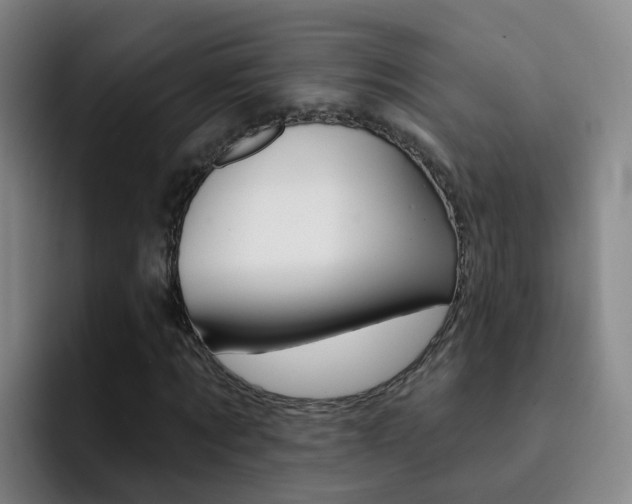 X0000093110869200709260944