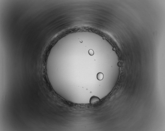 X0000093110871200709260944