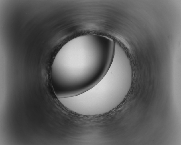 X0000093110872200709260944