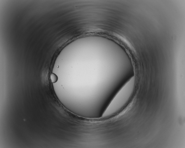 X0000093110873200709260944
