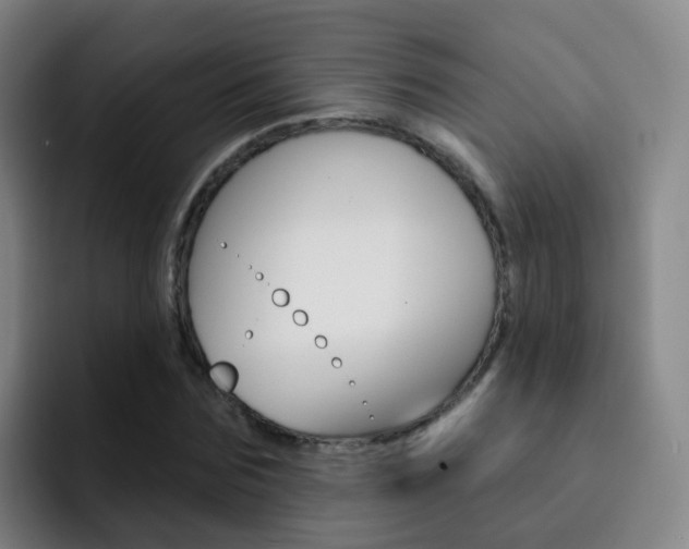 X0000093110875200709260944