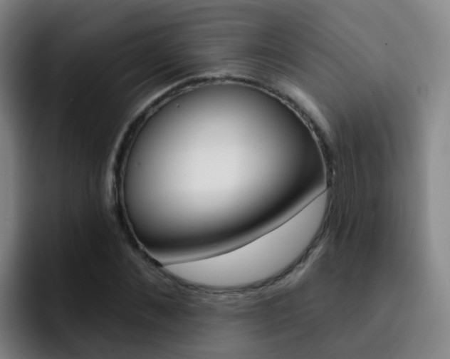 X0000093110876200709260944
