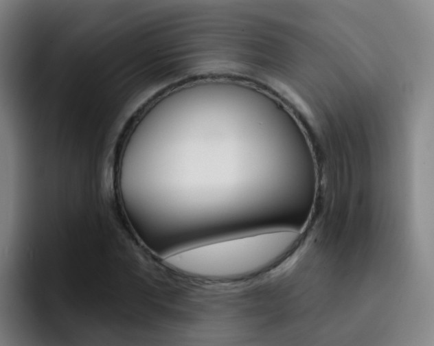 X0000093110877200709260944