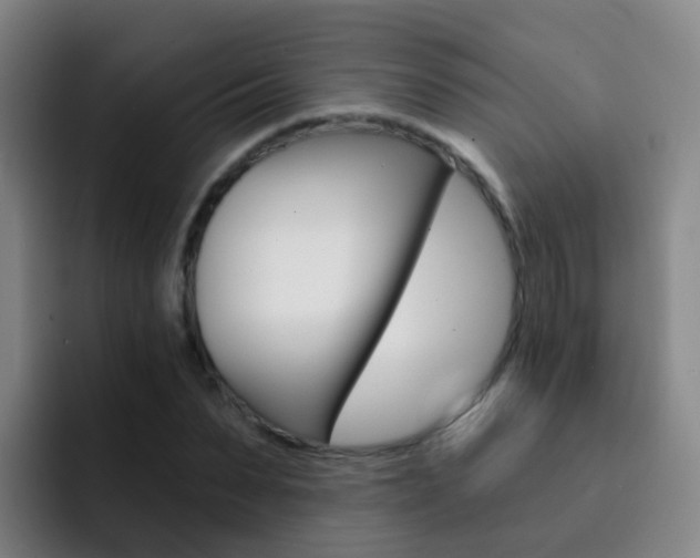 X0000093110879200709260944