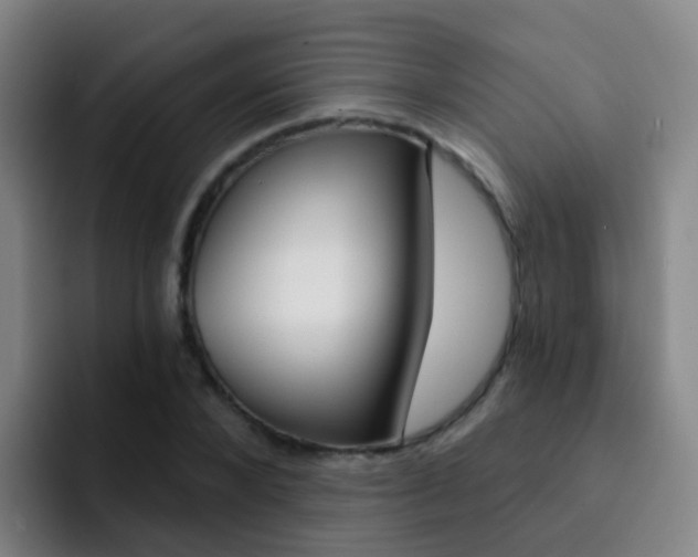 X0000093110880200709260944