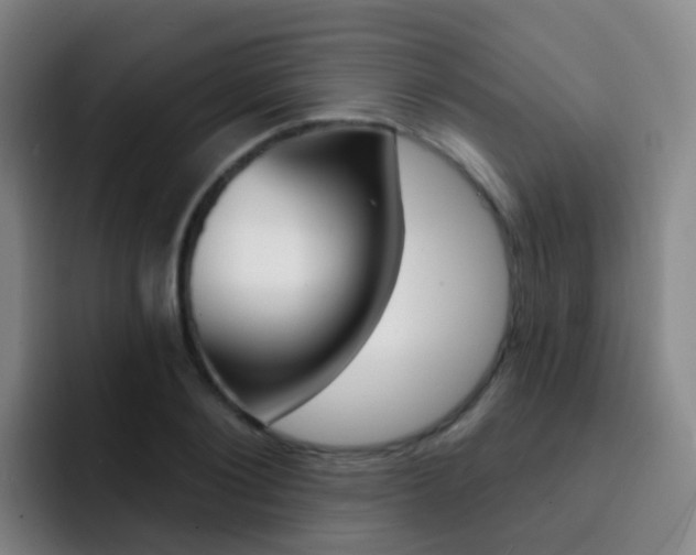 X0000093110884200709260943
