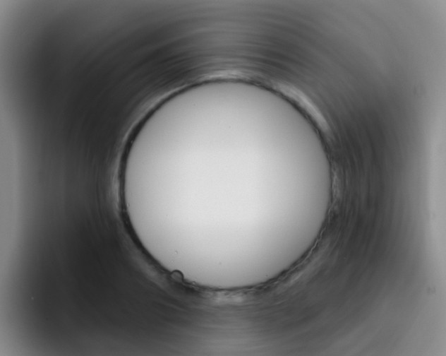 X0000093110890200709260943