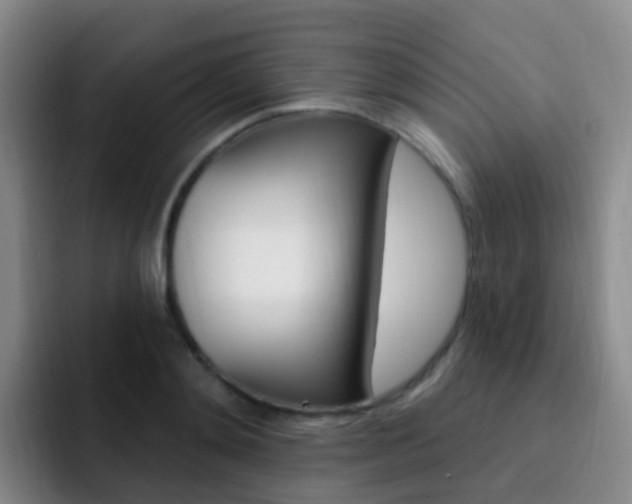 X0000093110892200709260943