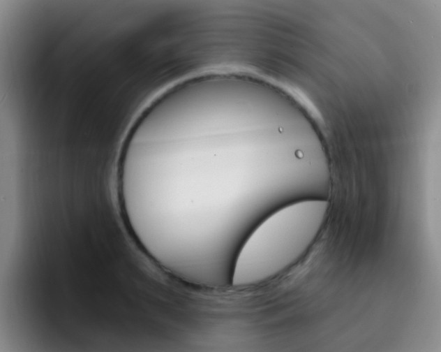 X0000093110895200709260943