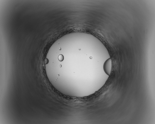 X0000093110913200709260943
