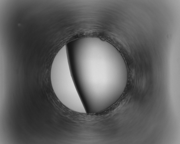 X0000093110914200709260943