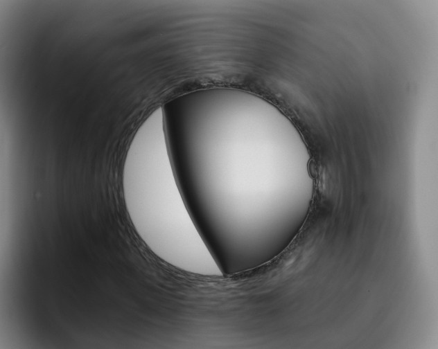 X0000093110915200709260943