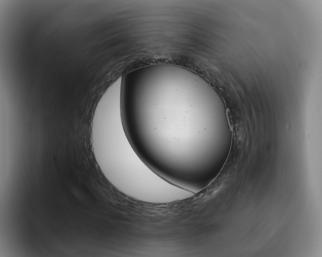 X0000093110916200709260943