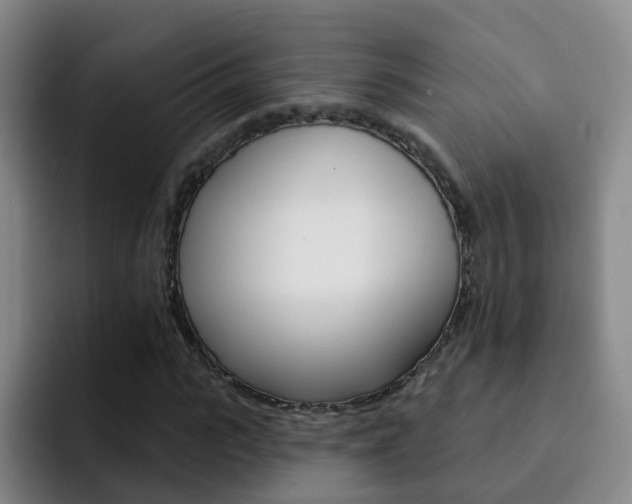 X0000093110919200709260943