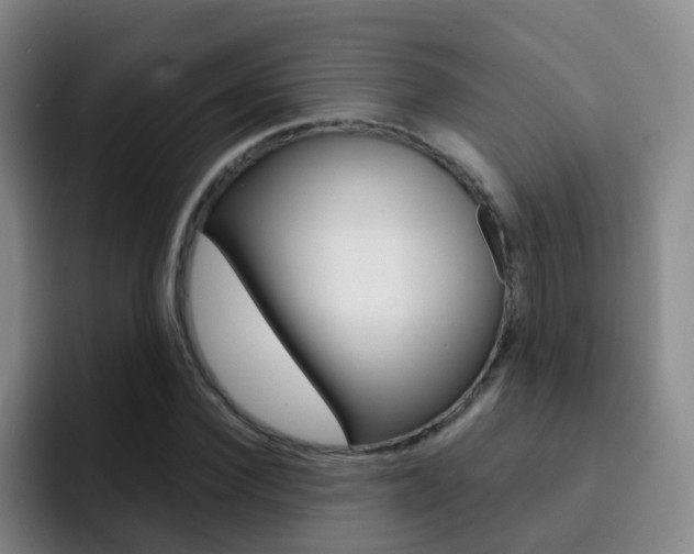 X0000093110924200709260943