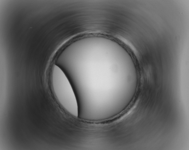 X0000093110925200709260943