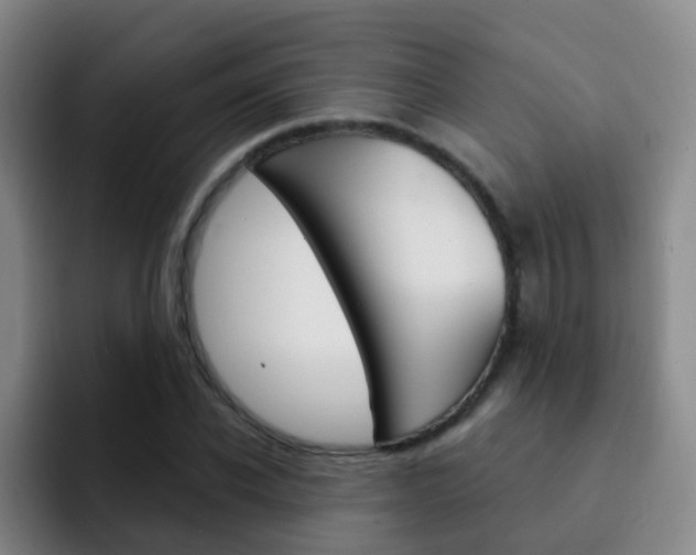 X0000093110926200709260943