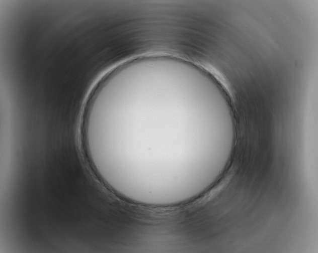 X0000093110928200709260943