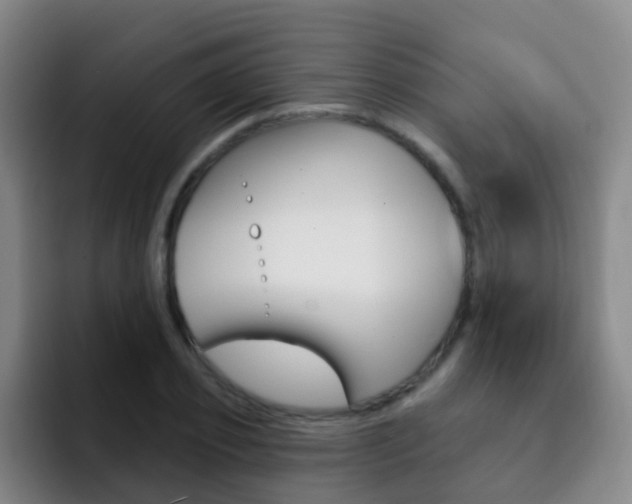 X0000093110933200709260943