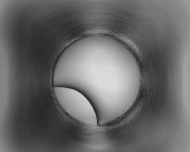 X0000093110937200709260943