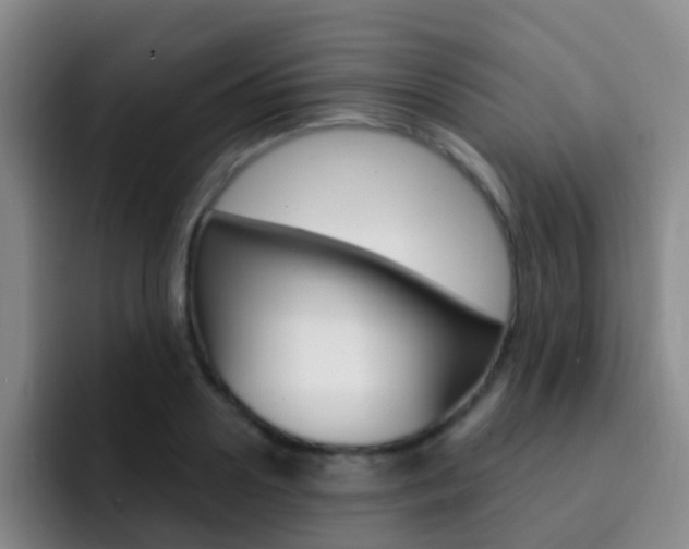 X0000093110938200709260943