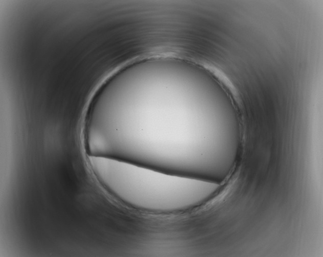 X0000093110941200709260943