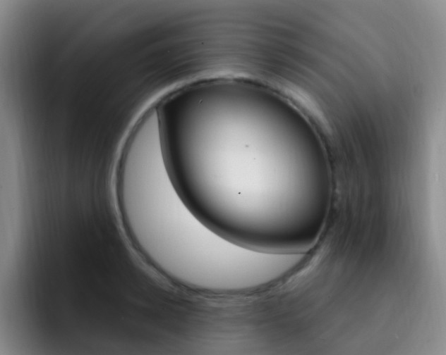 X0000093110942200709260943