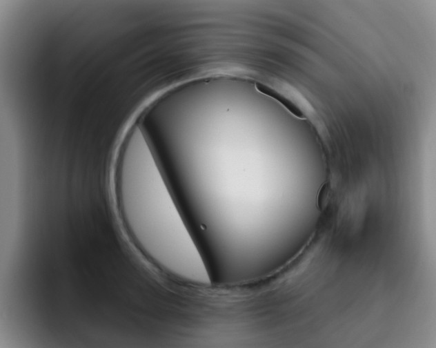 X0000093110947200709260943