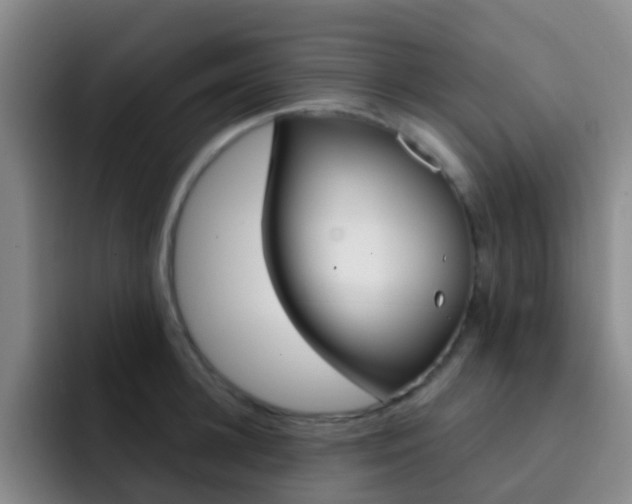 X0000093110948200709260943