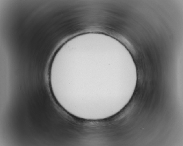 X0000093110950200709260943