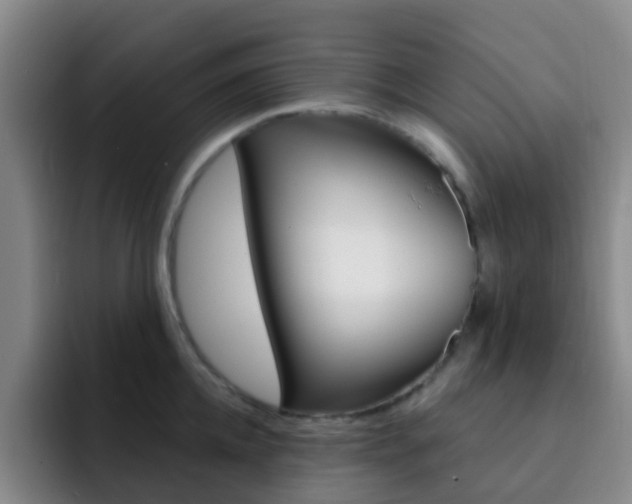 X0000093110952200709260943