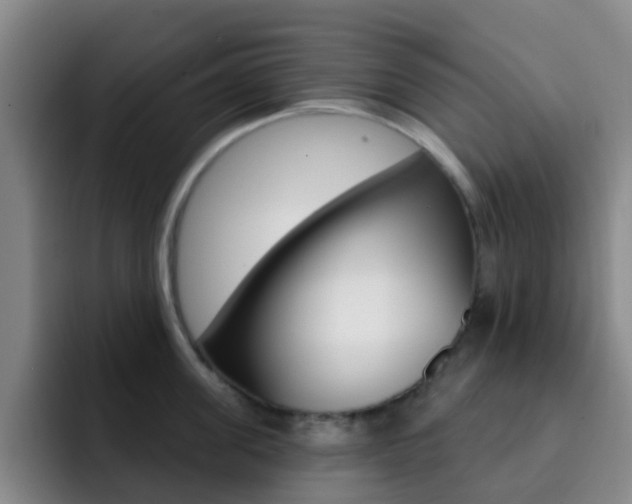 X0000093110955200709260943