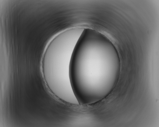 X0000093110960200709260943