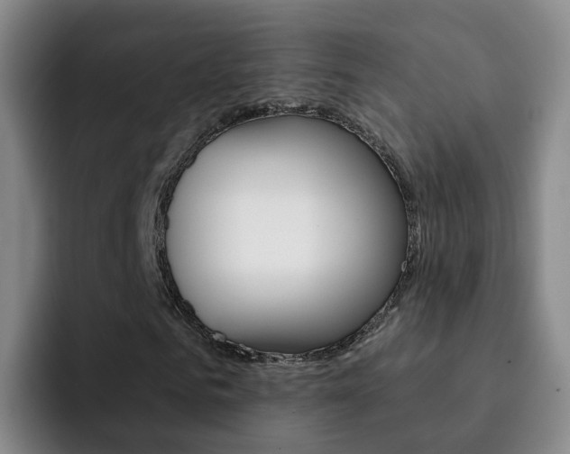 X0000093110961200709260943
