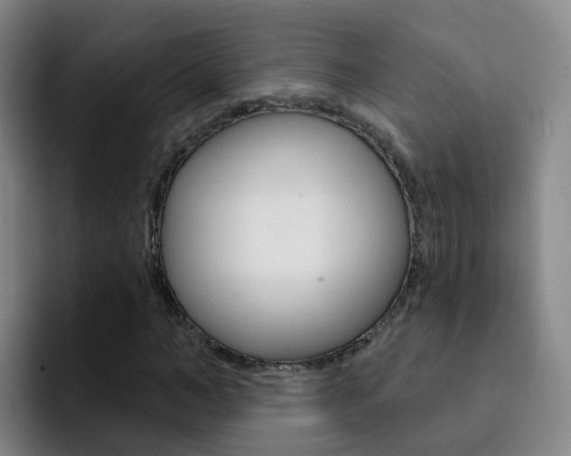 X0000093110966200709260943