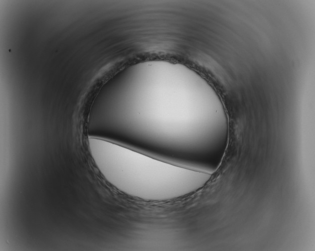 X0000093110968200709260942