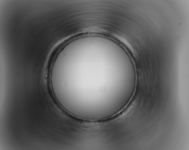 X0000093110971200709260942
