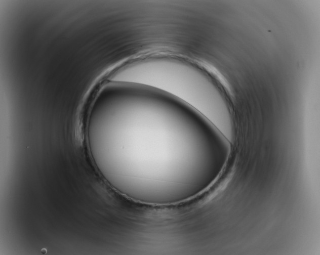 X0000093110973200709260942