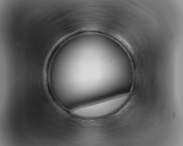X0000093110976200709260942
