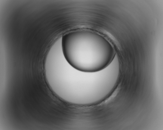 X0000093110977200709260942