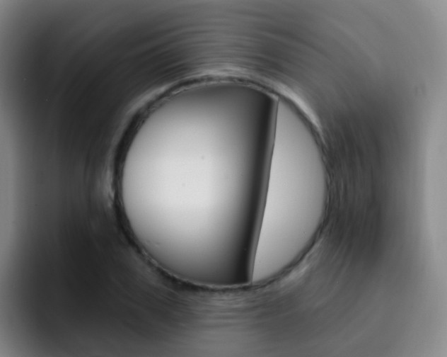 X0000093110979200709260942