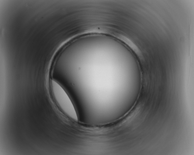 X0000093110980200709260942