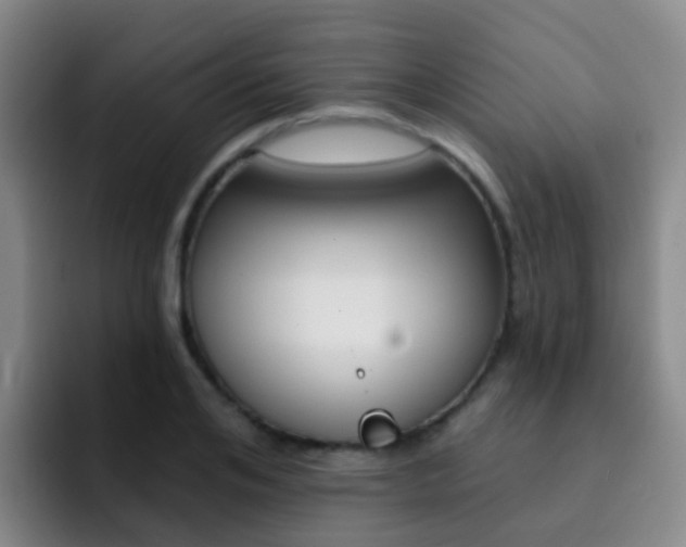 X0000093110984200709260942