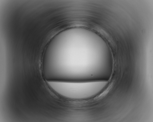X0000093110985200709260942