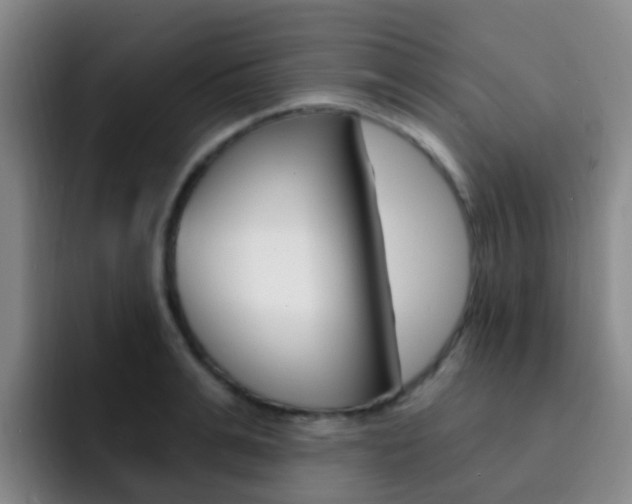 X0000093110991200709260942